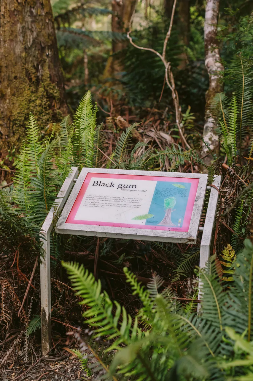 Hogarth Falls Track Signage