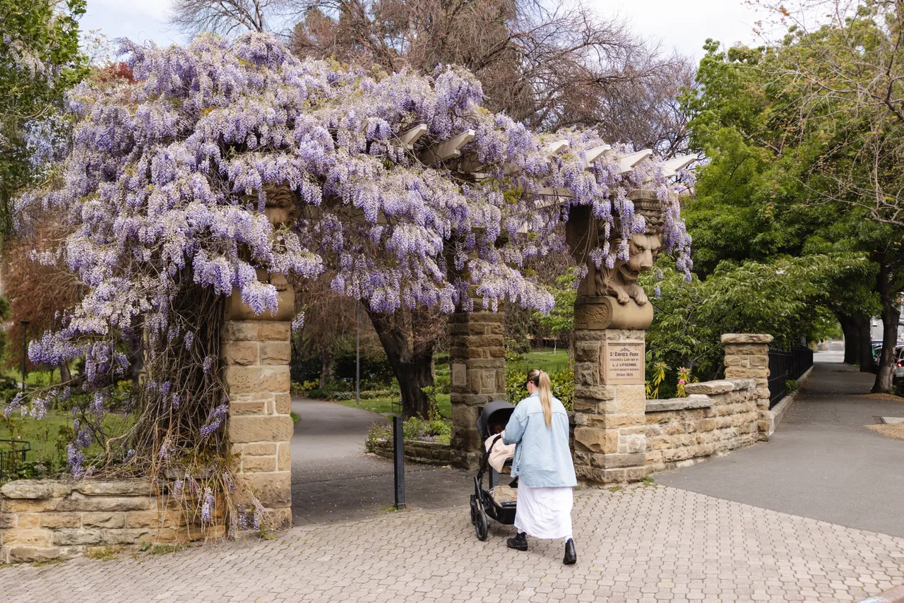 St David's Park in Spring