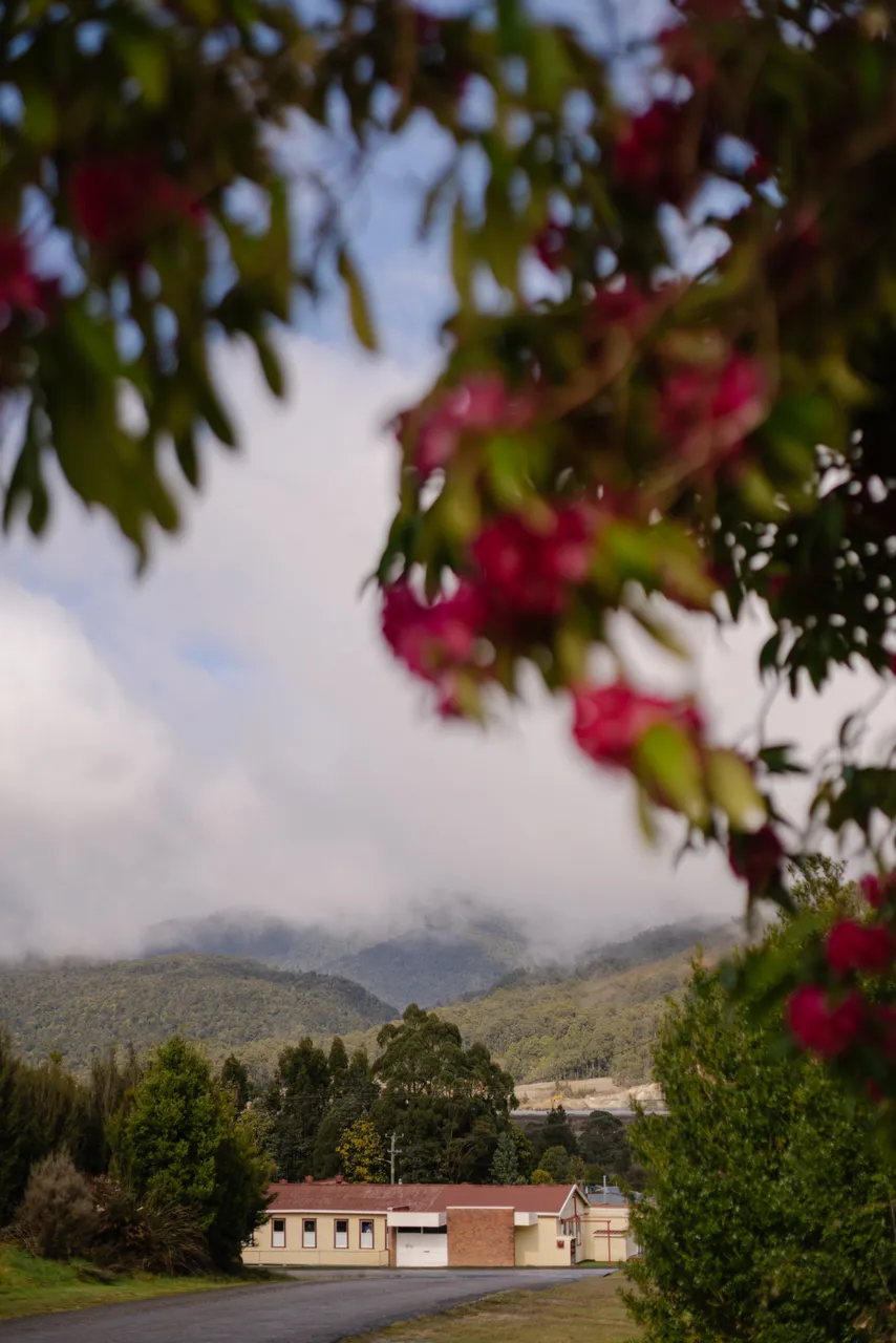 Rosebery Streetscape