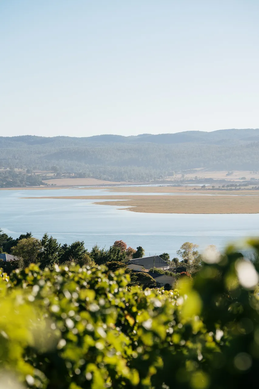 Utzinger Wines