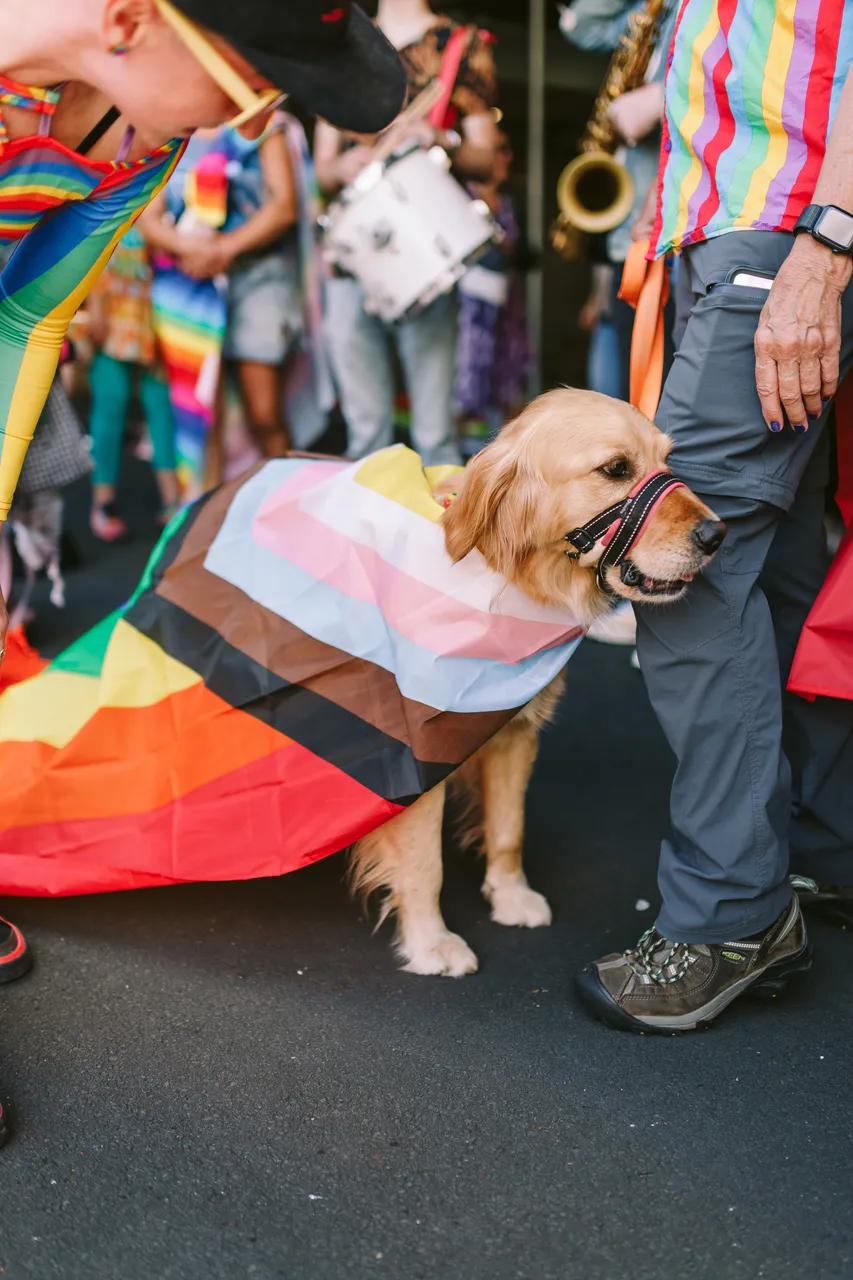 Tas Pride Parade