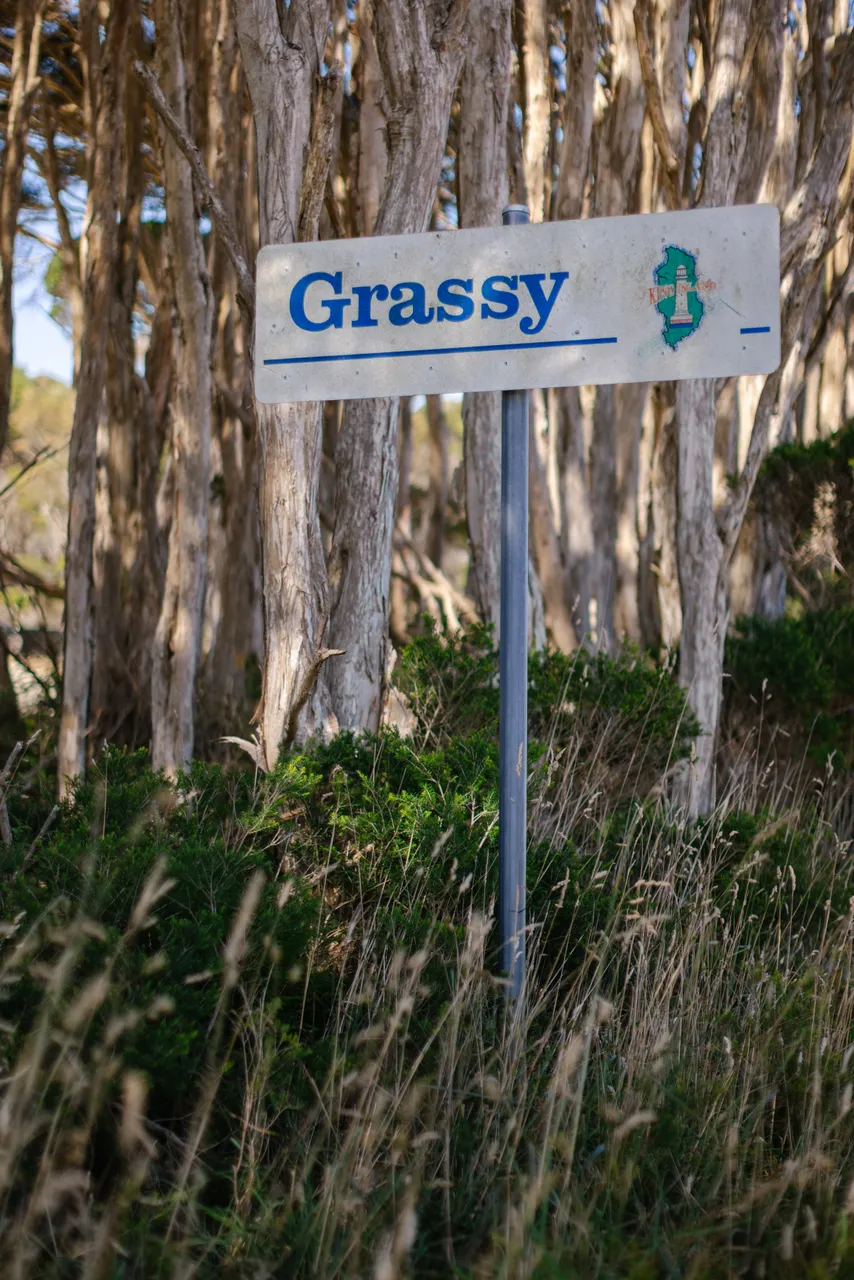 Grassy Sign