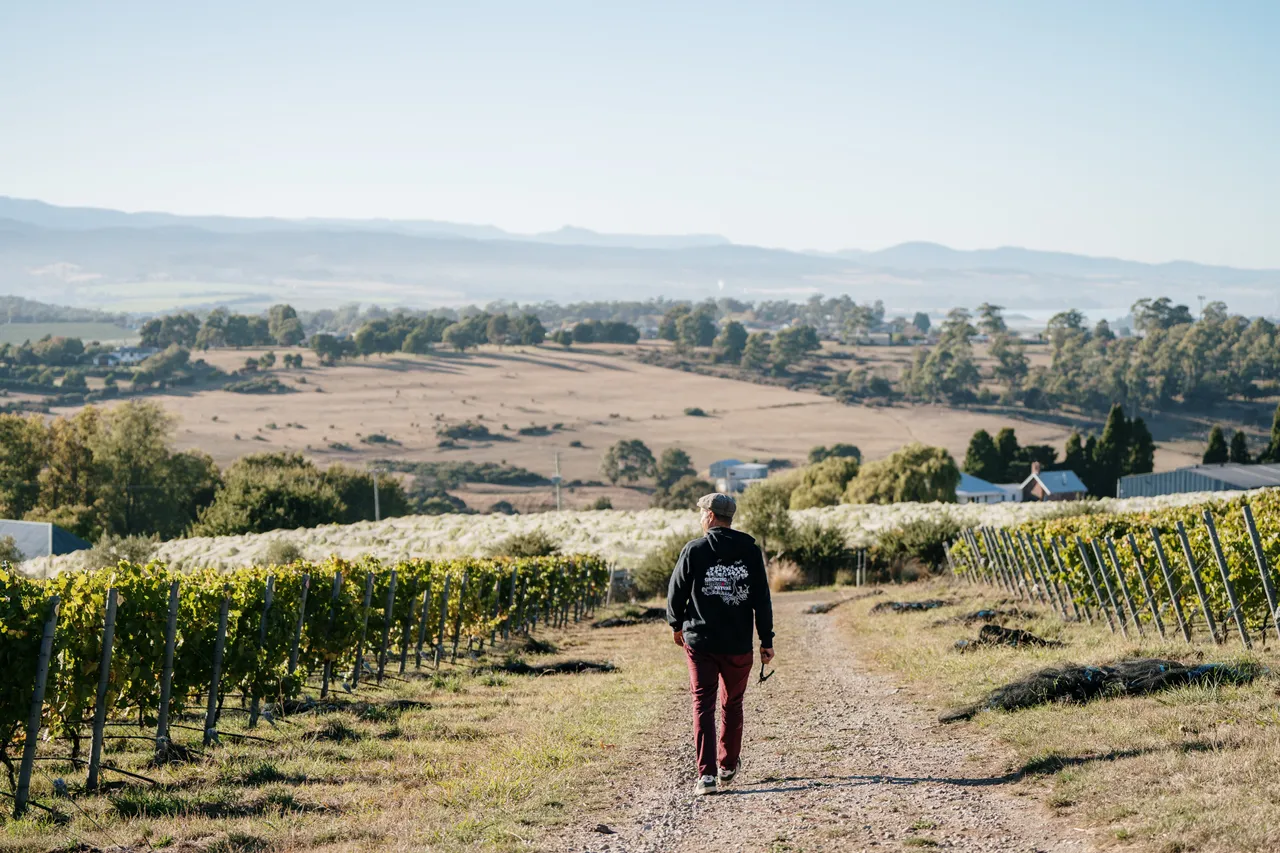 Utzinger Wines