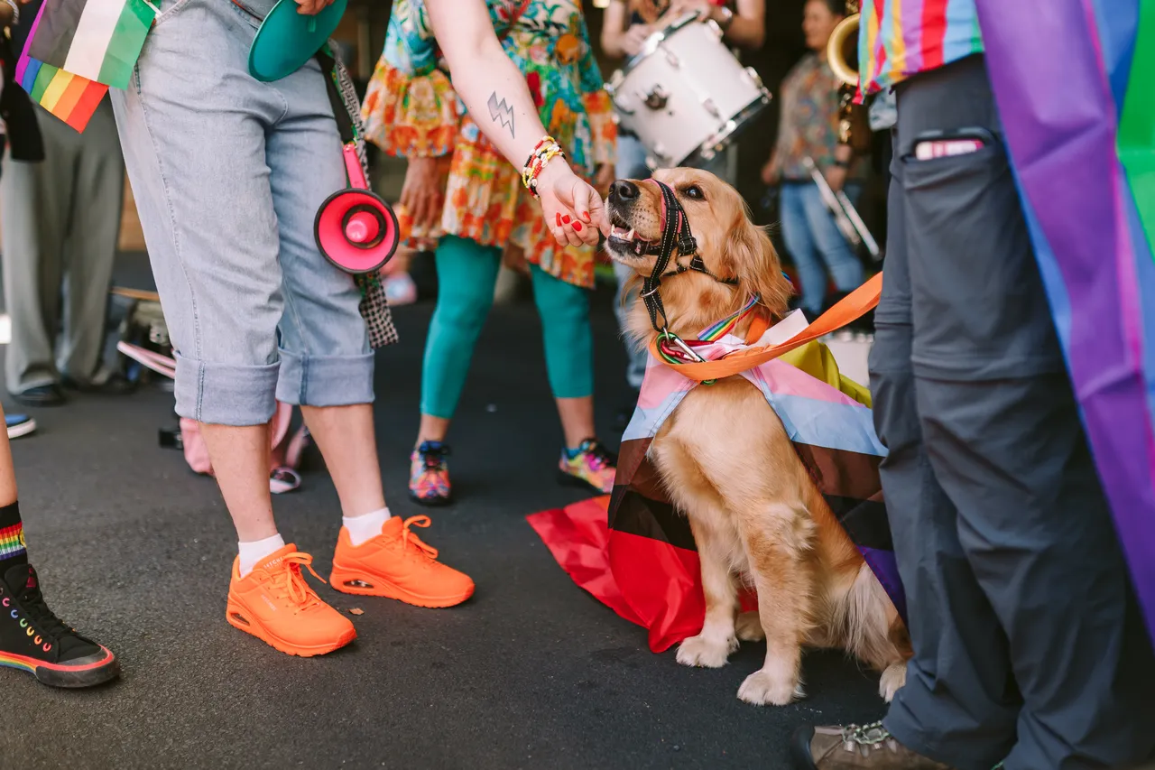 Tas Pride Parade