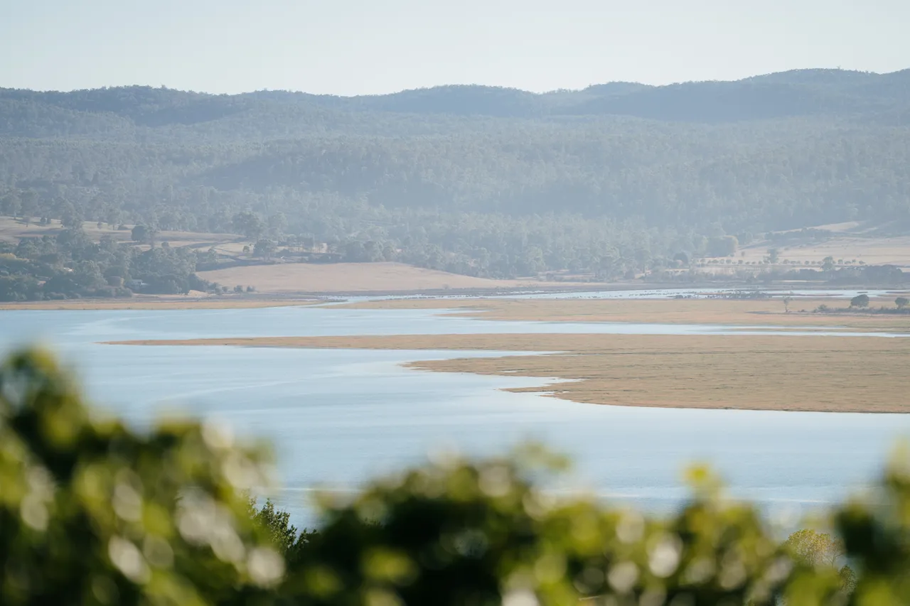 View From Utzinger Wines