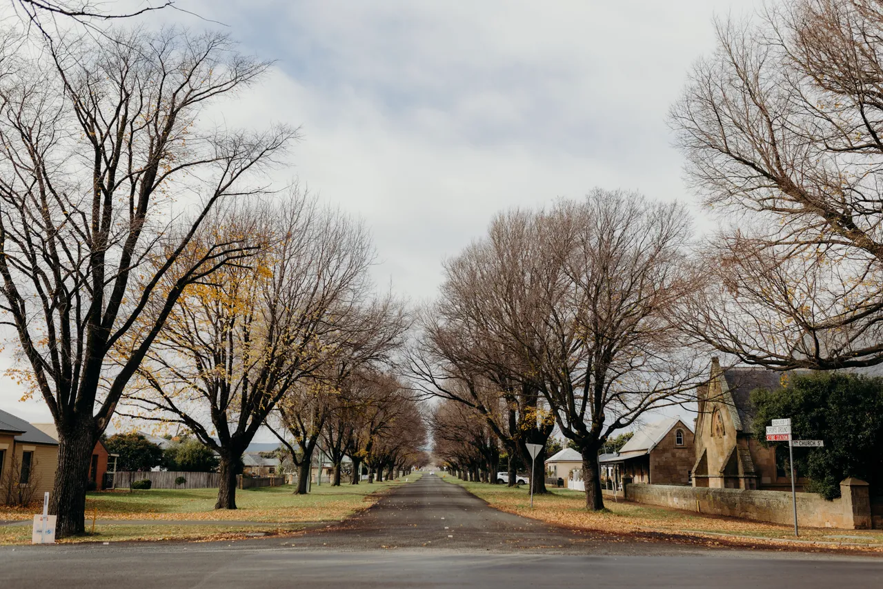 Ross Autumn Streetscape