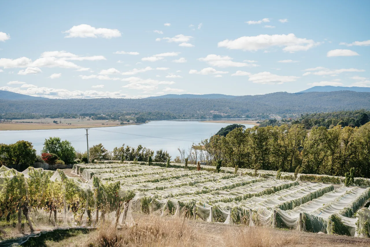 Evenfall Winery