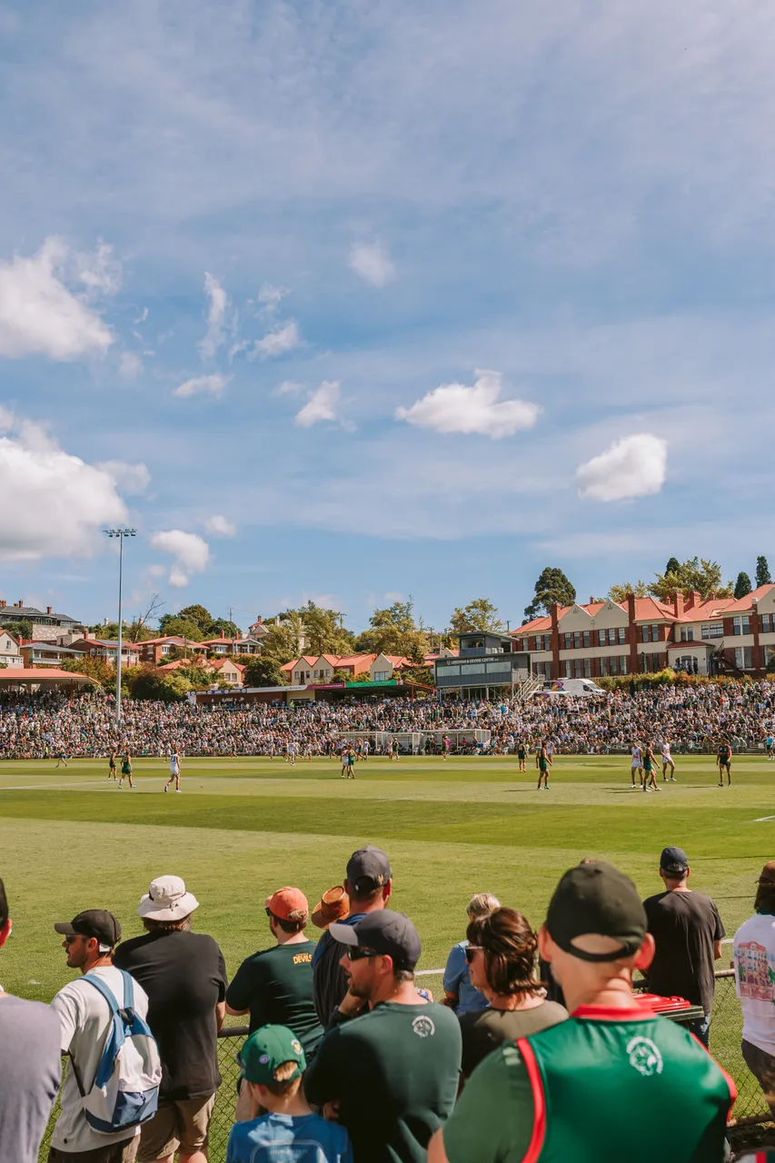 Tasmania Devils Game