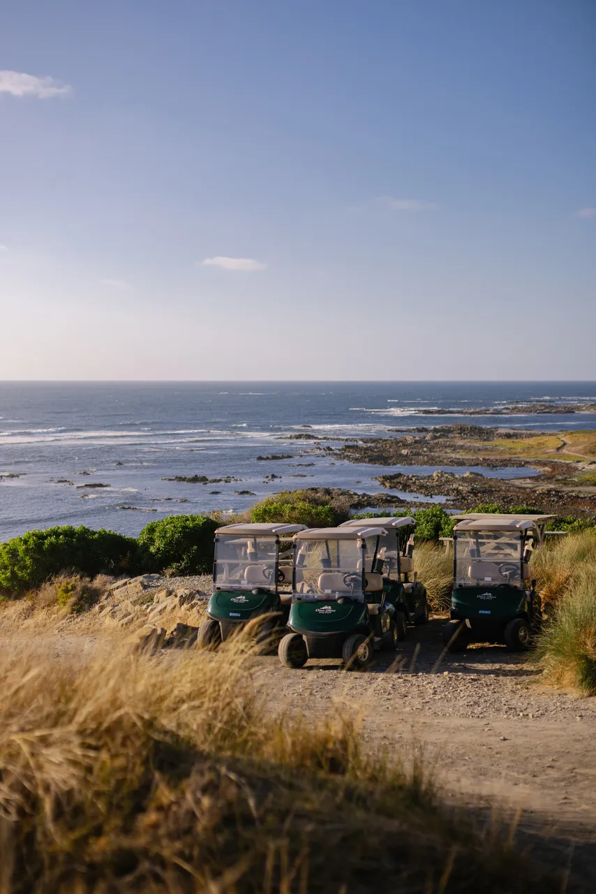 Golf Carts