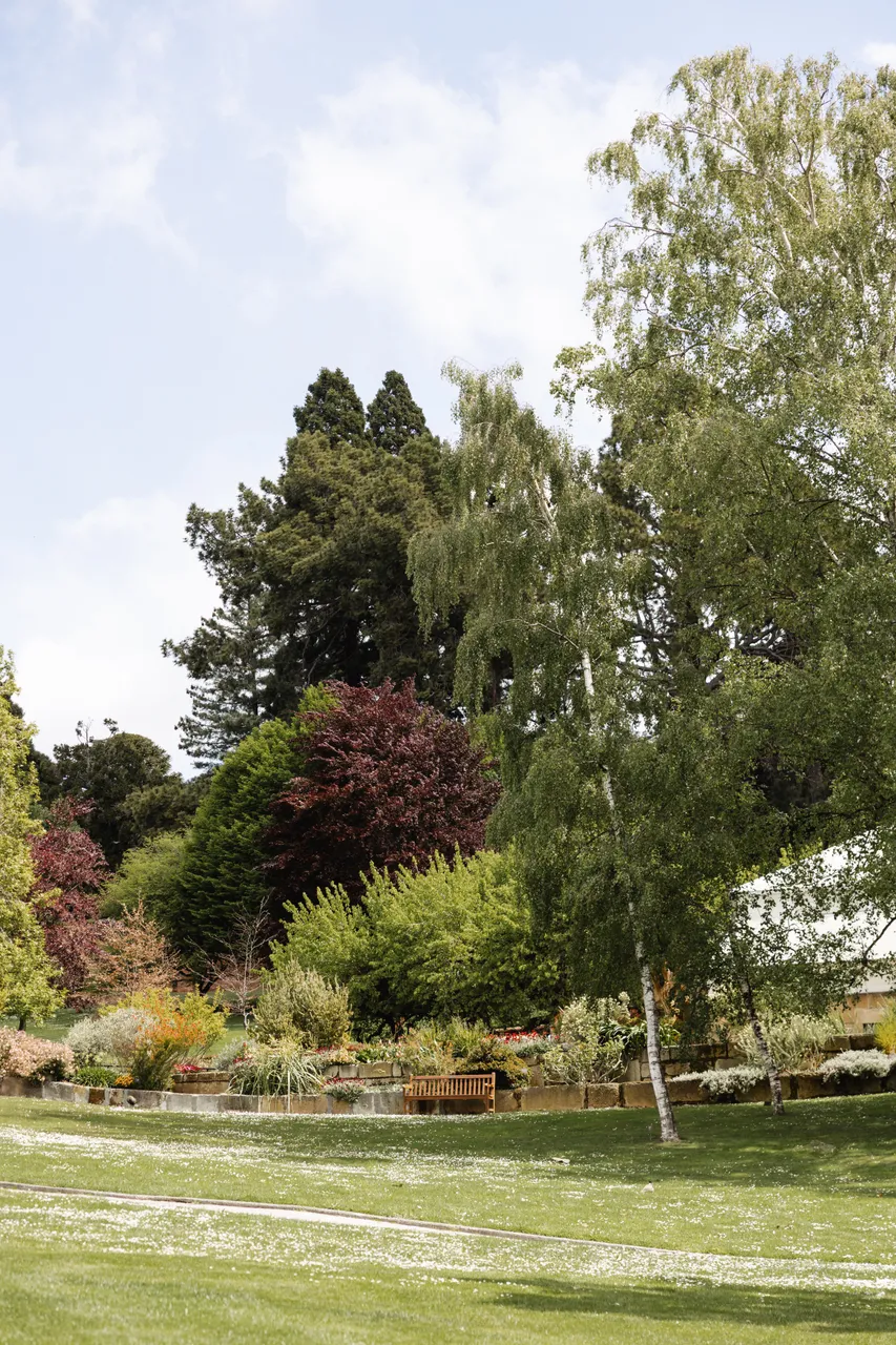 Royal Tasmanian Botanical Gardens