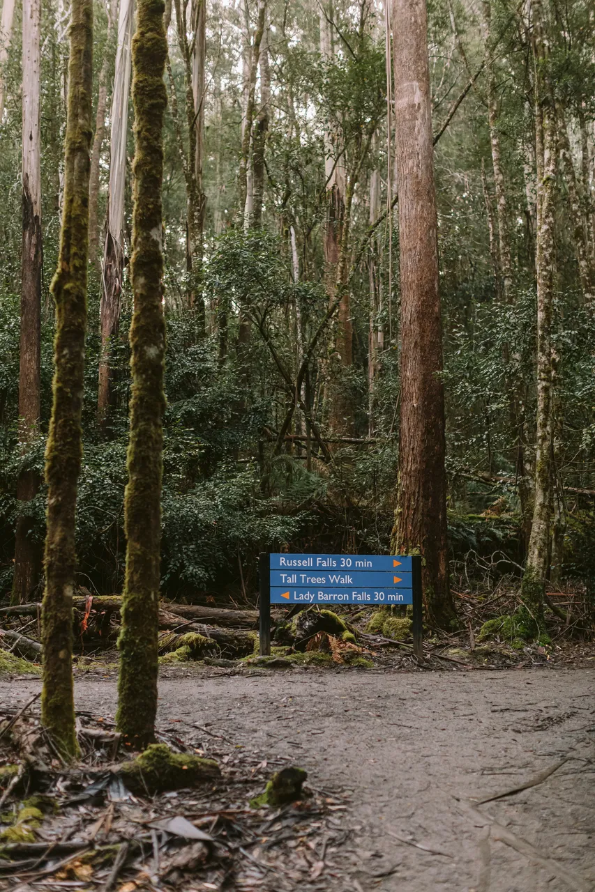 Russell Falls Walking Track and Directional Sign