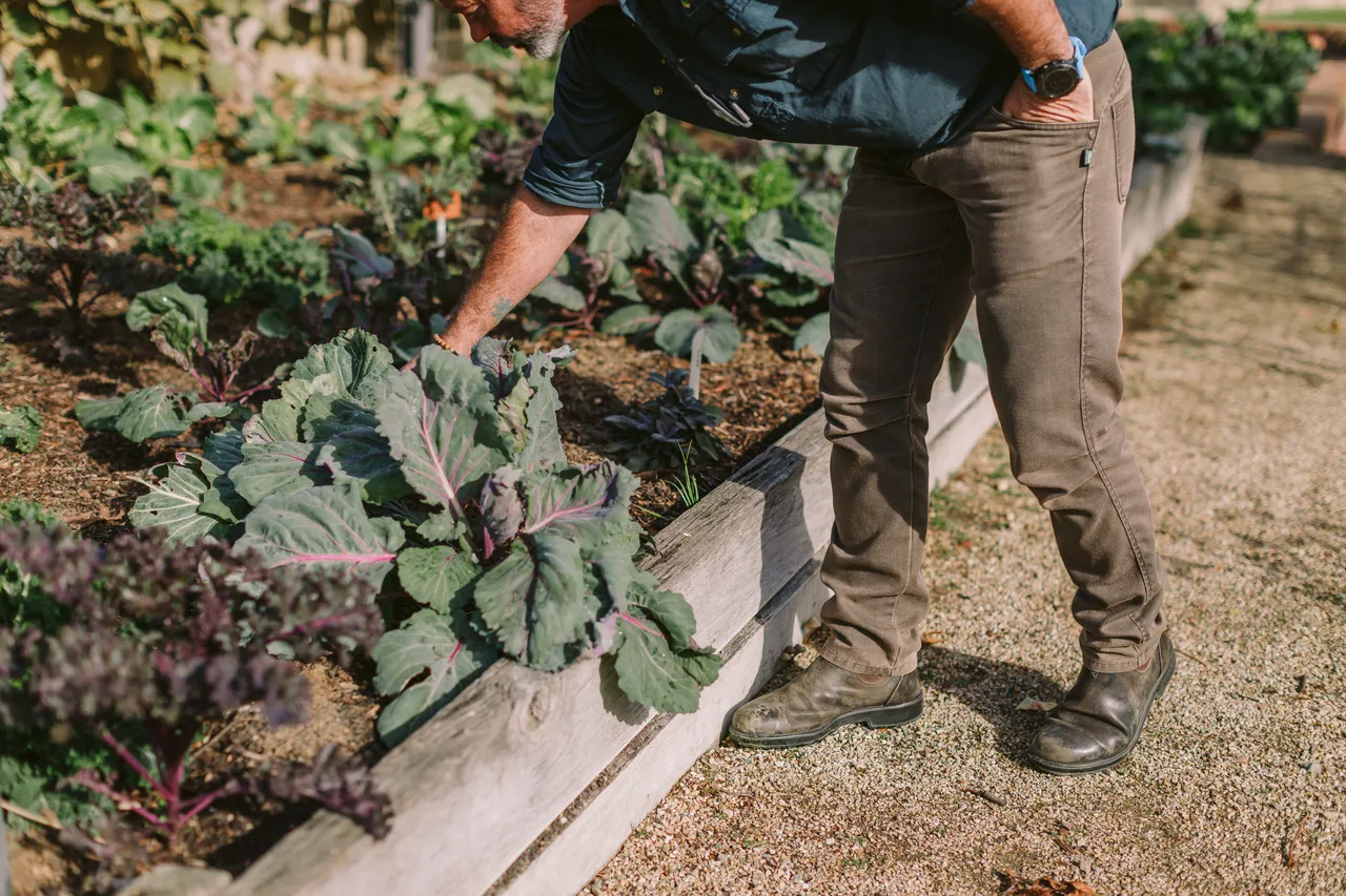 Gardener at the Royal Tasmanian Botanical Gardens