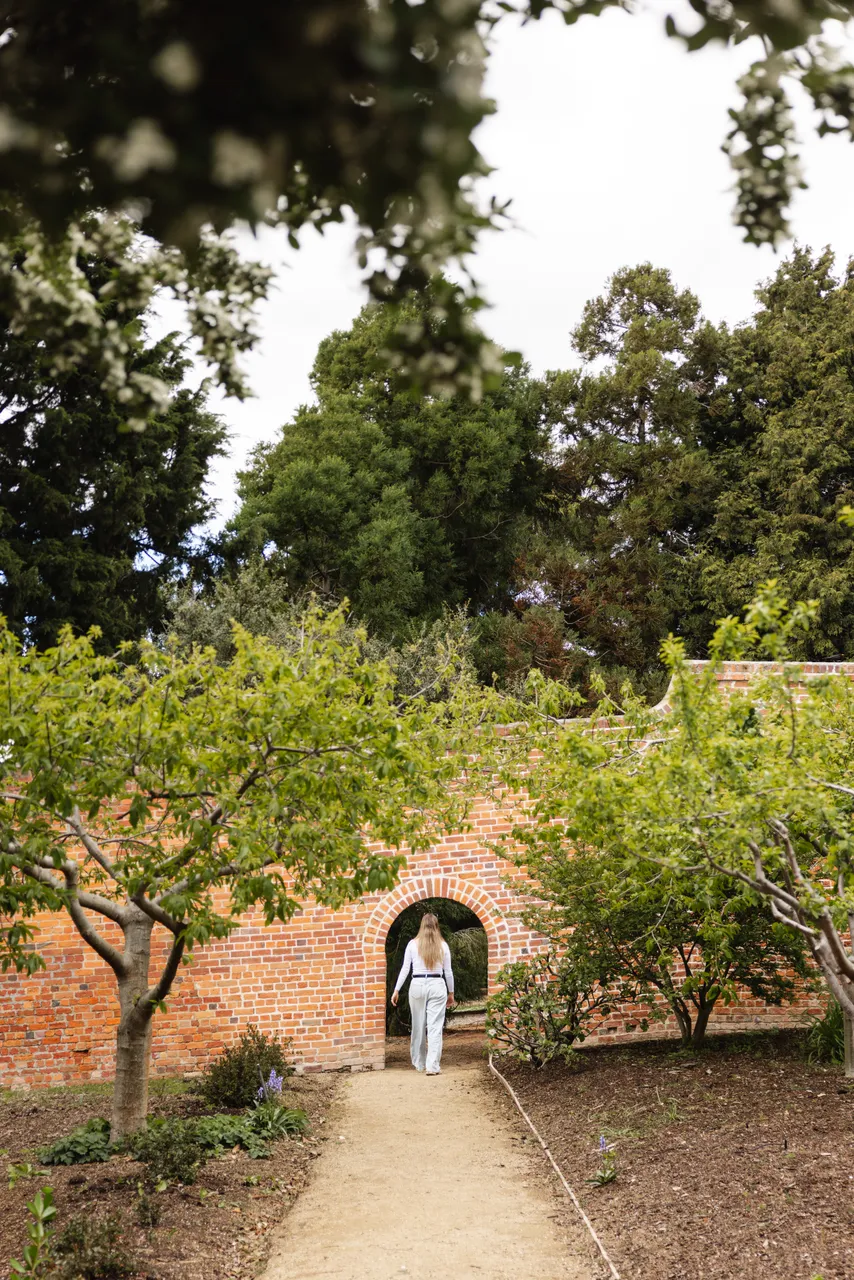 Royal Tasmanian Botanical Gardens