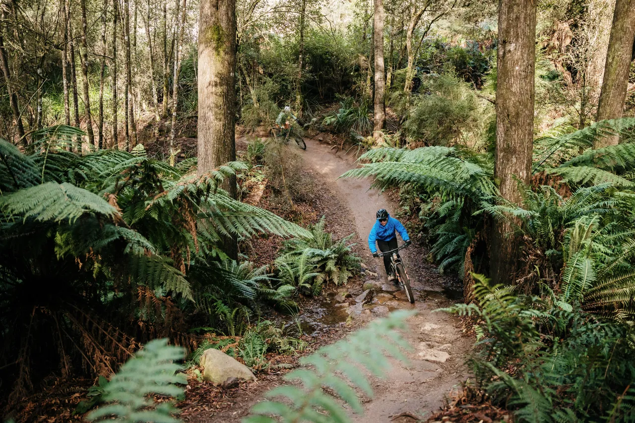 Mountain Biking in Derby