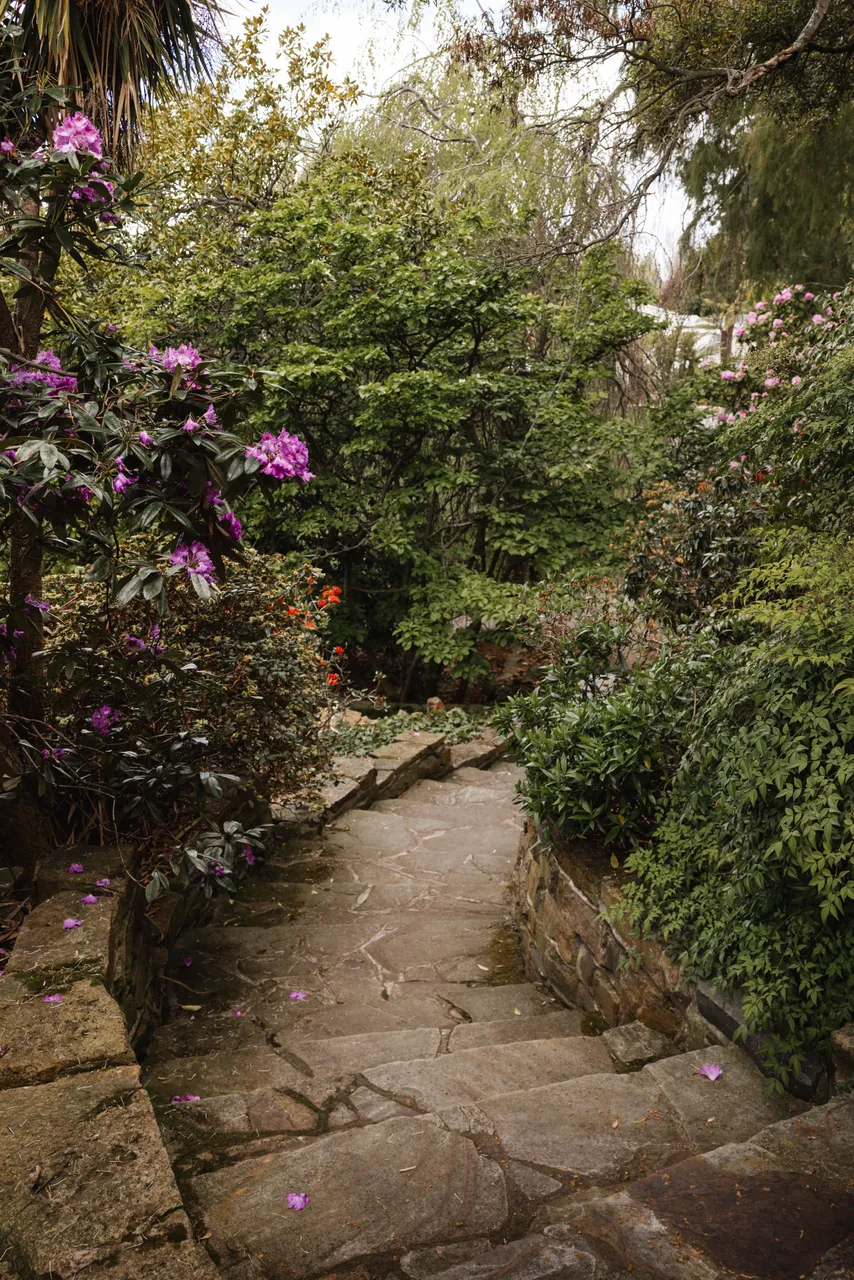 Royal Tasmanian Botanical Gardens