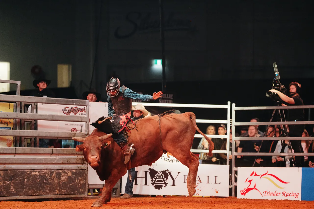 Bull Riding at the Island Stampede Rodeo