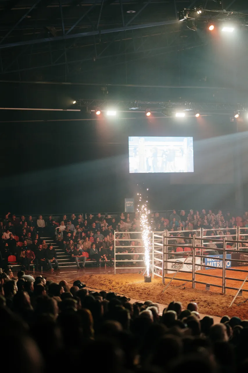 Sparkler at the Island Stampede Rodeo
