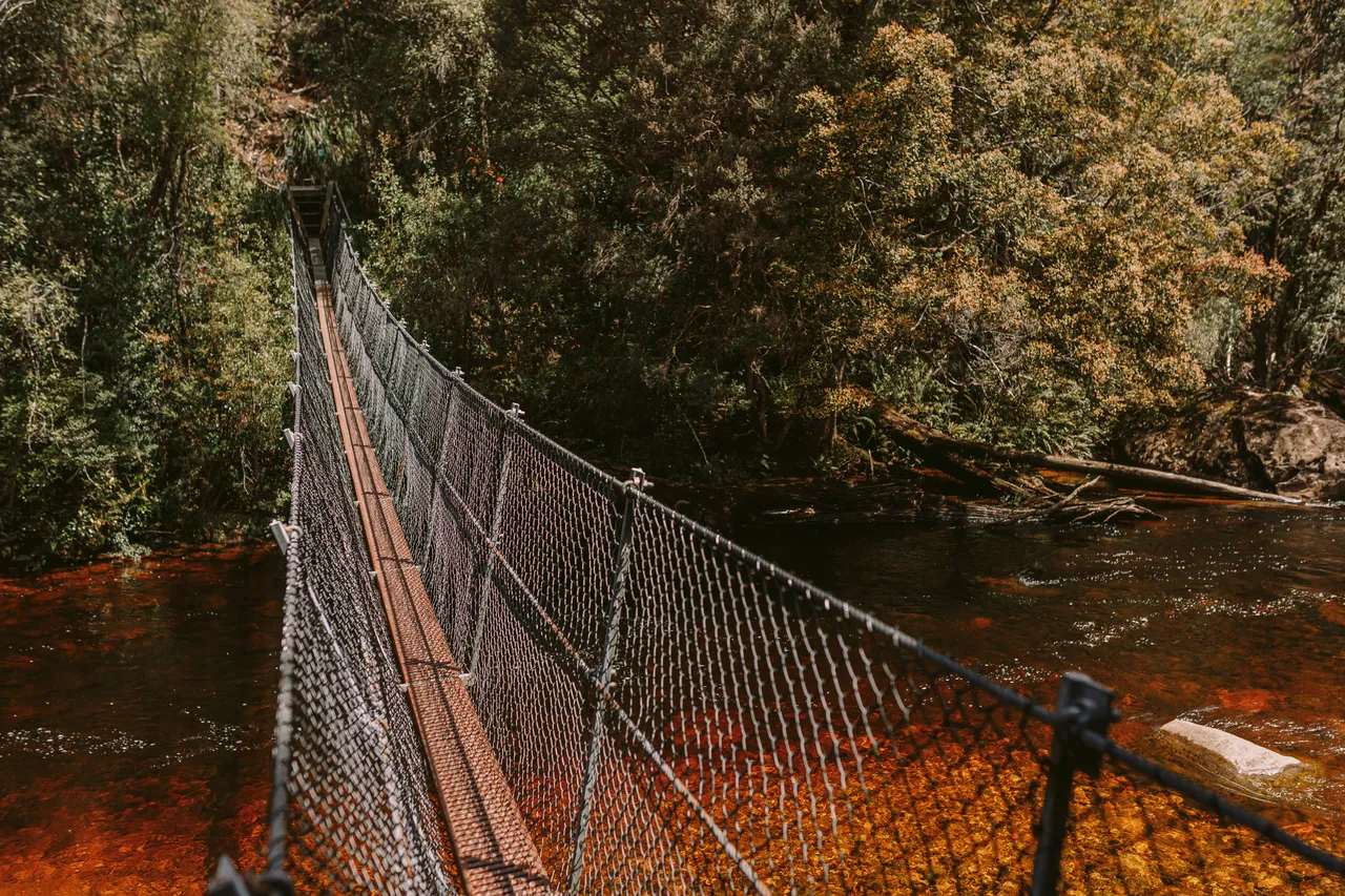 Frenchmans Cap Suspension Bridge
