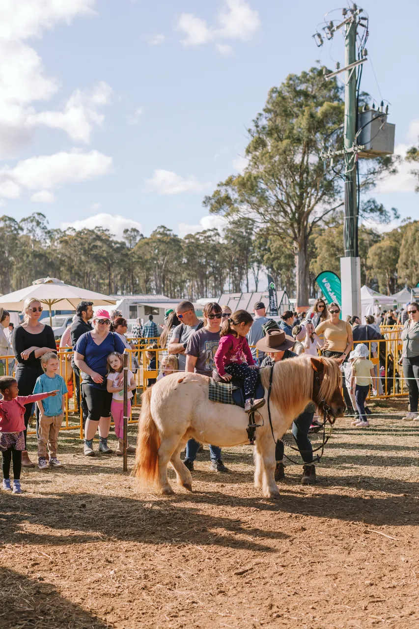 Pony Rides at Agfest