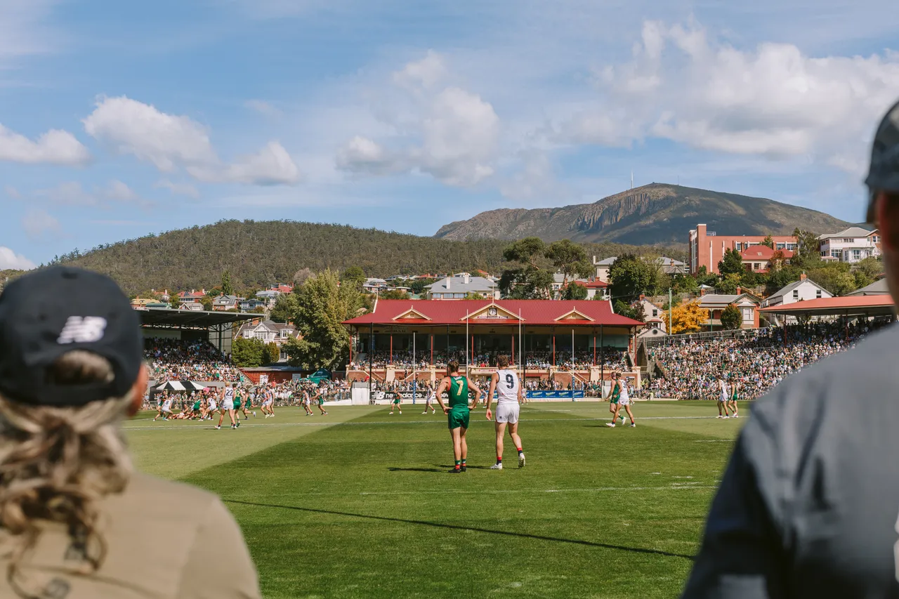 Tasmania Devils Game