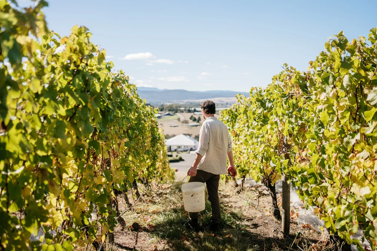 Evenfall Winery