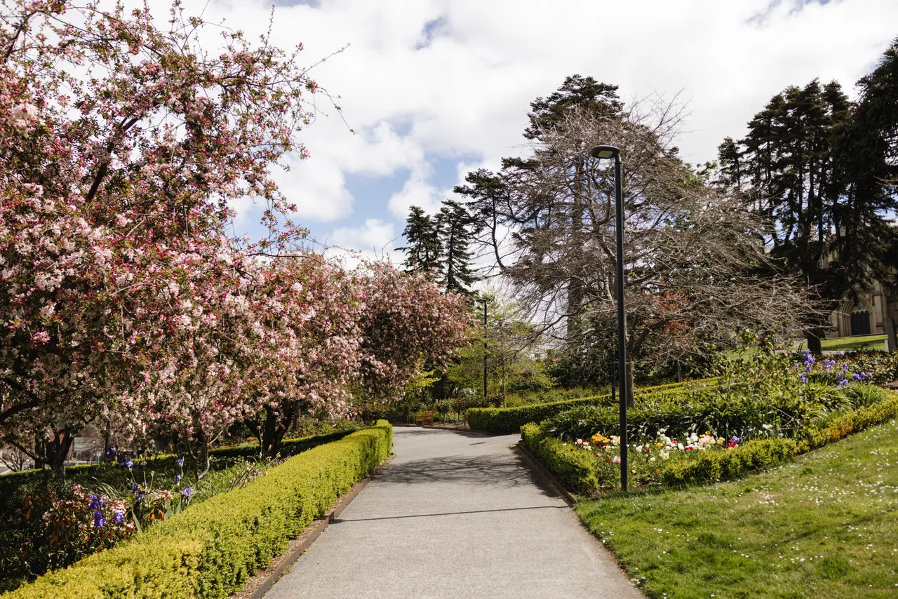  University Rose Gardens