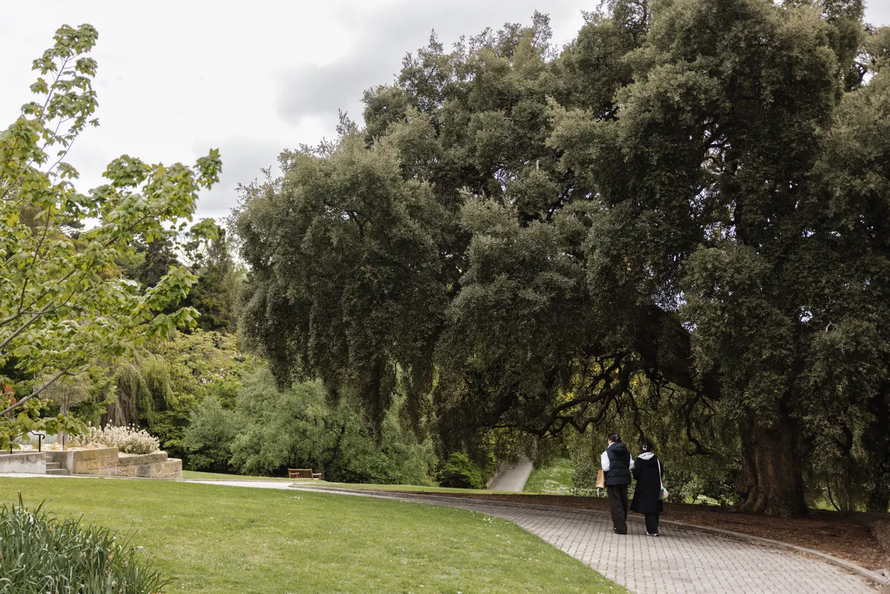 Royal Tasmanian Botanical Gardens