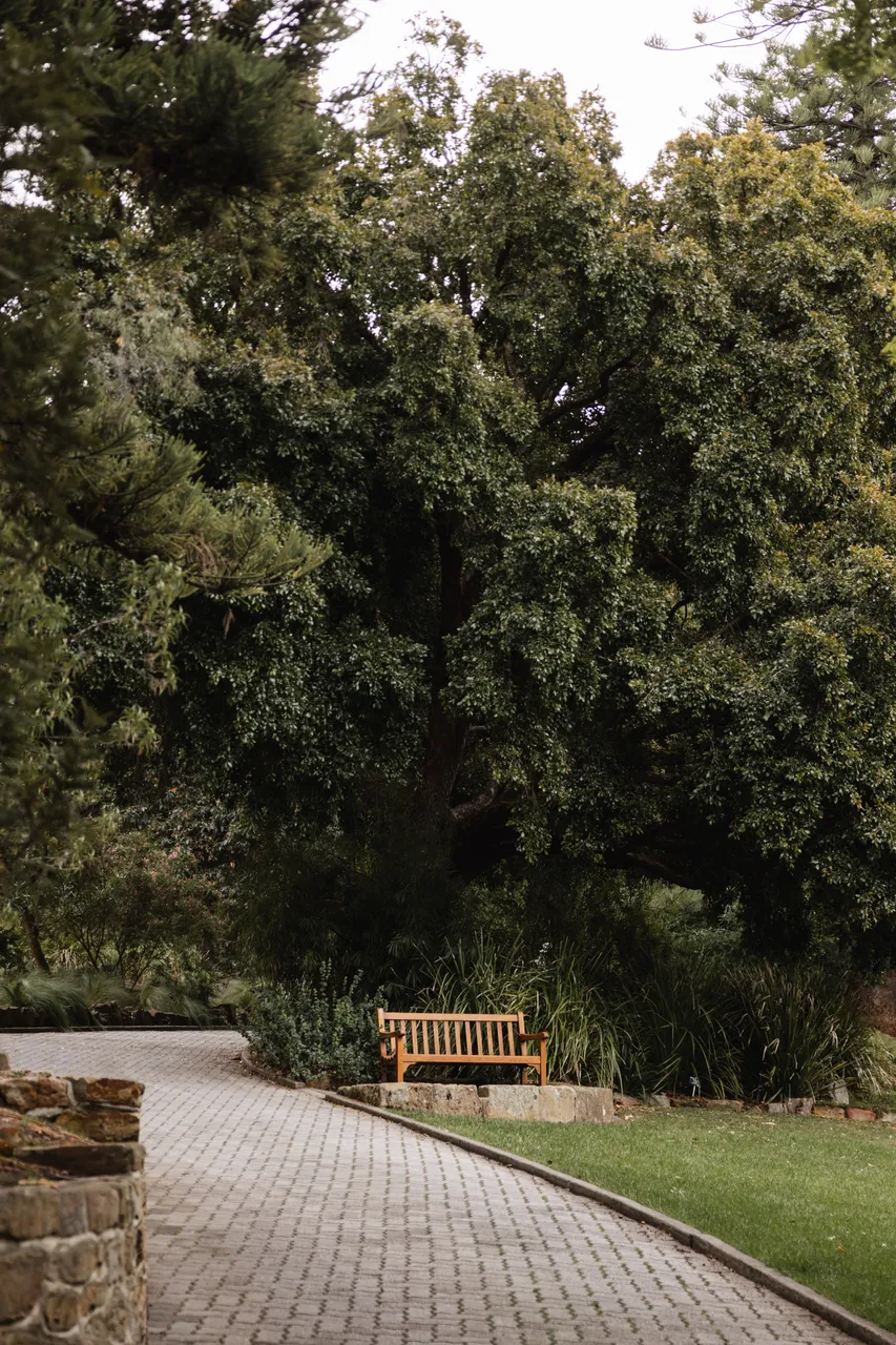 Royal Tasmanian Botanical Gardens