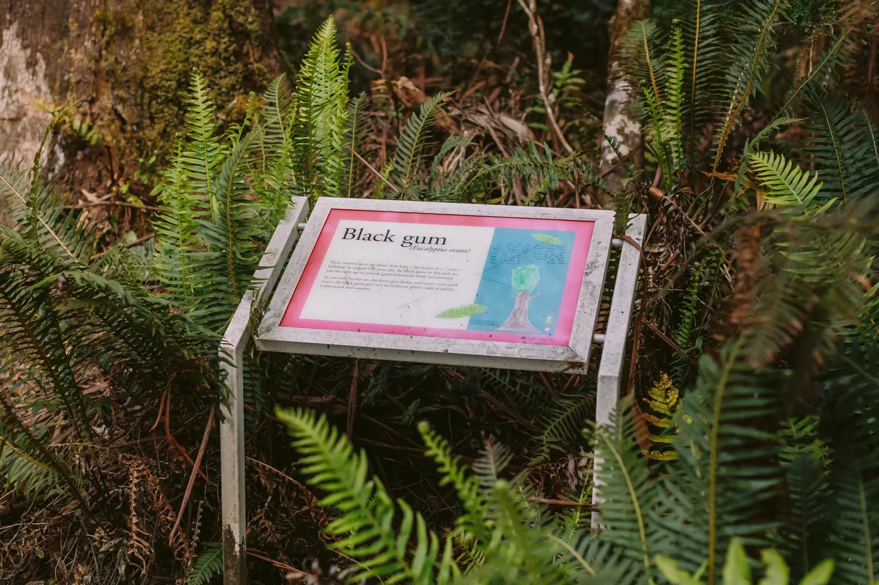 Hogarth Falls Track Signage