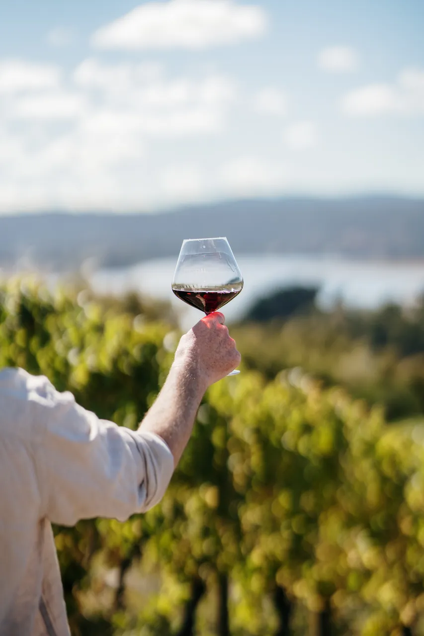 Wine Tasting at Evenfall Winery