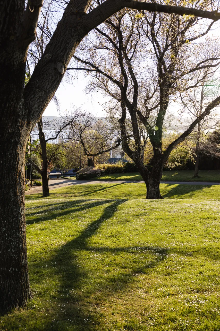 Princes Park in Spring