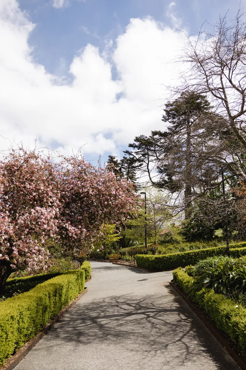  University Rose Gardens
