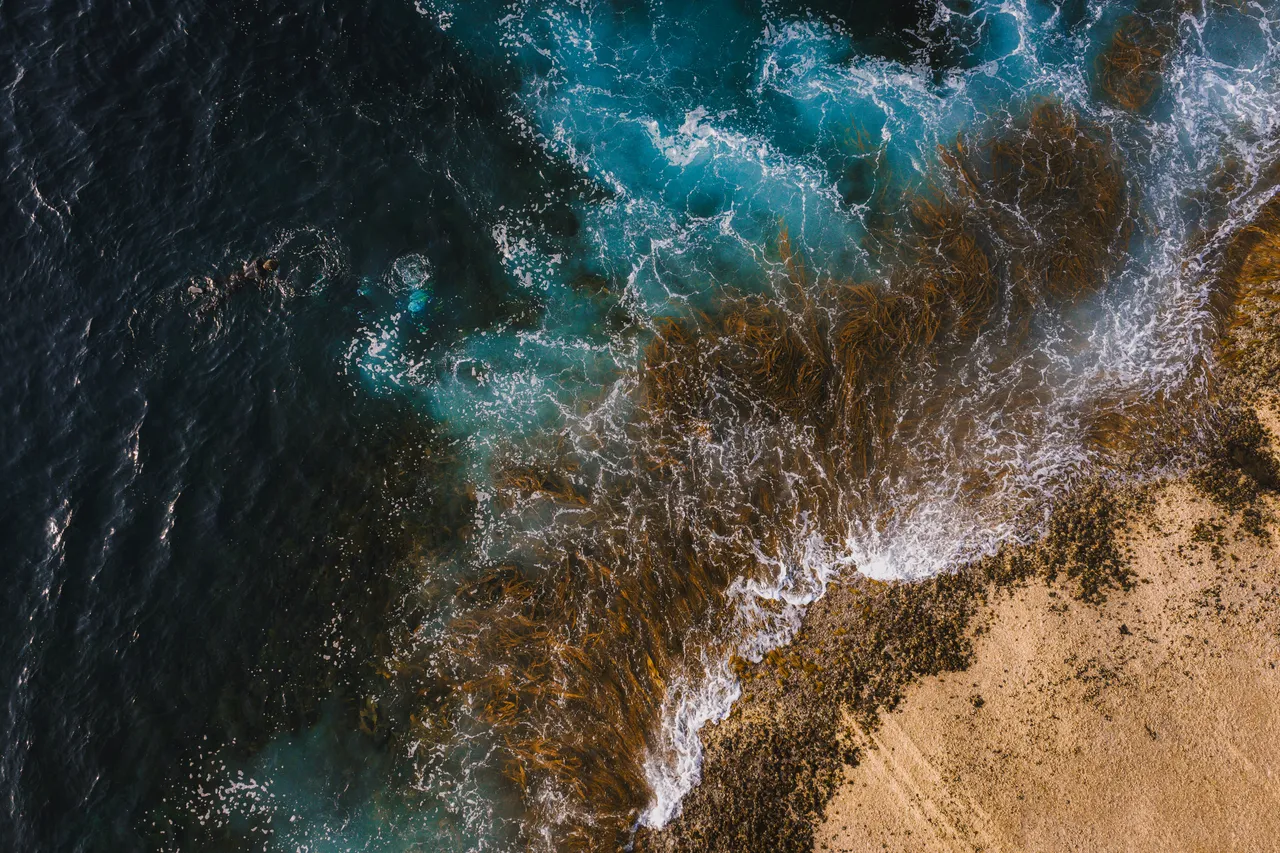 Bicheno Coastline Aerial