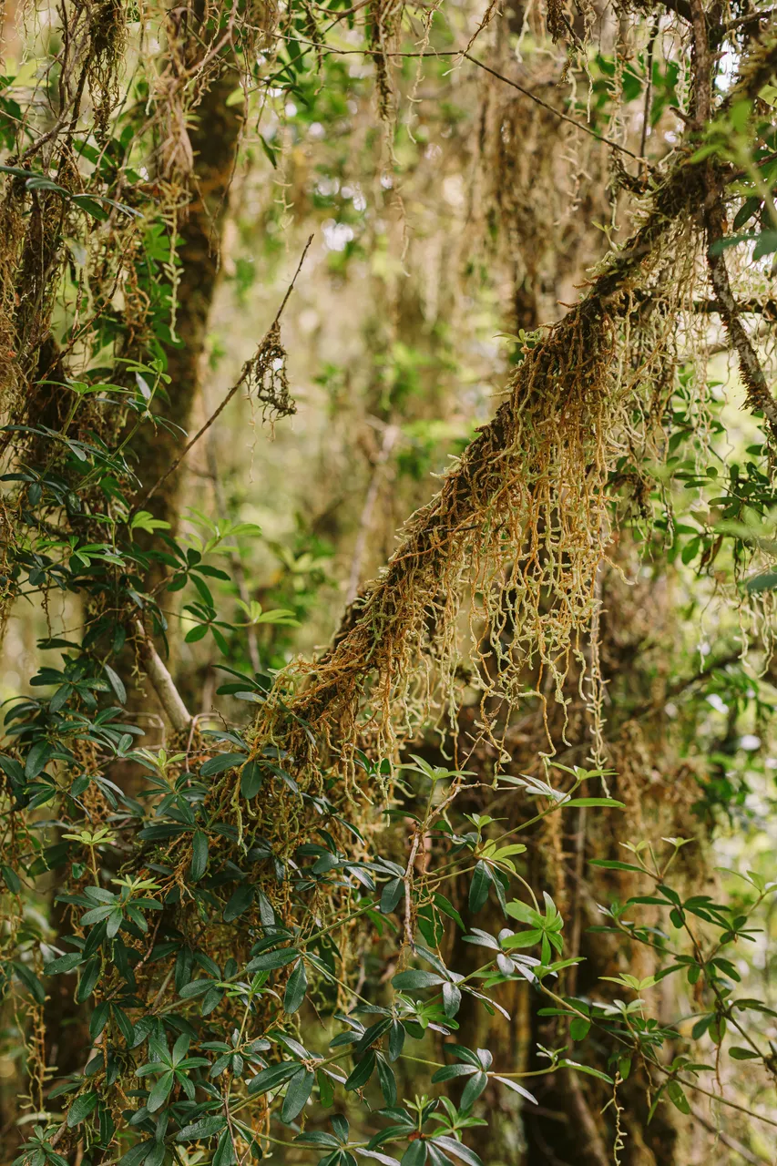 BRANDTASWHC(260of328)