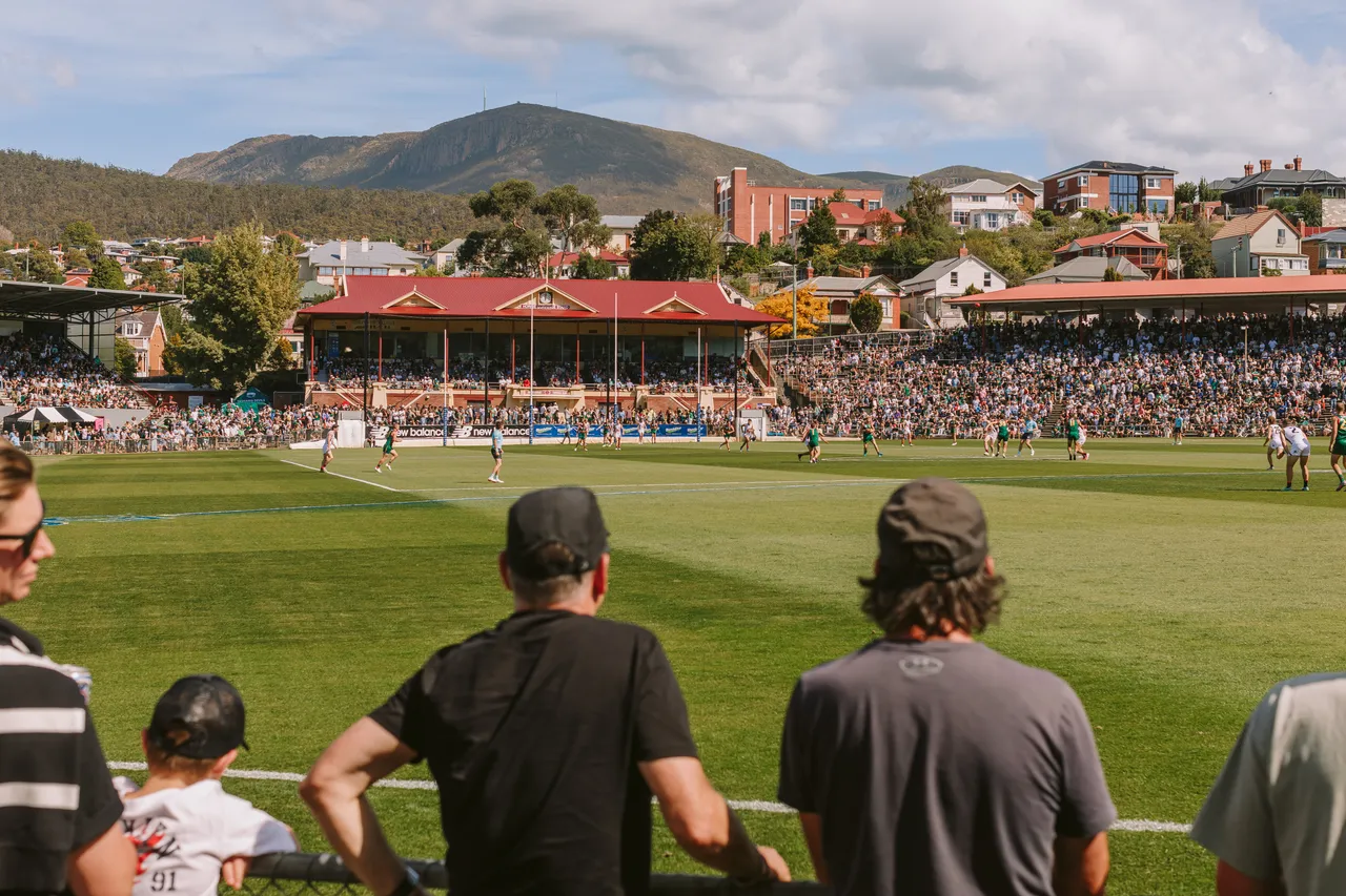 Tasmania Devils Game