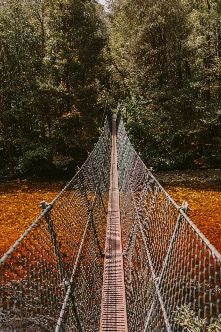 Frenchmans Cap Suspension Bridge