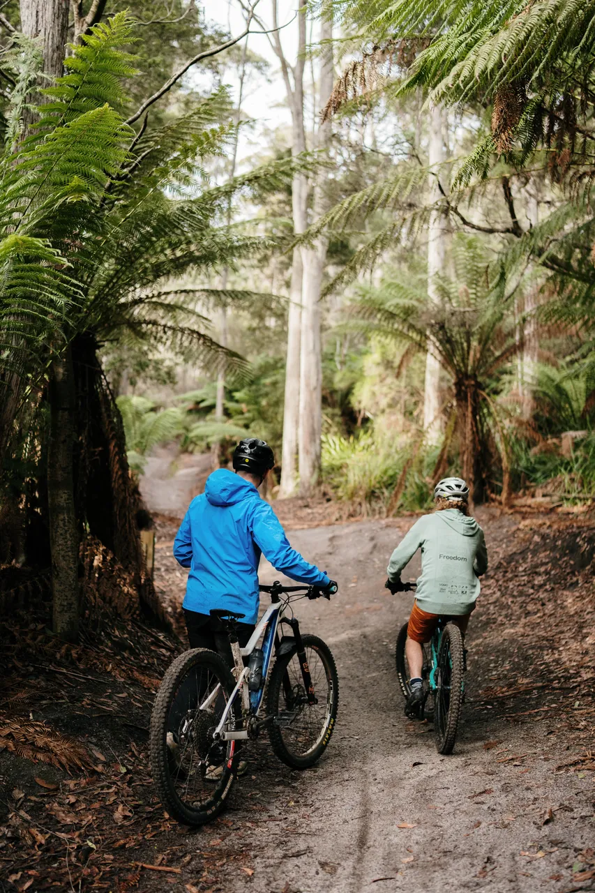 Mountain Bikers on Trail