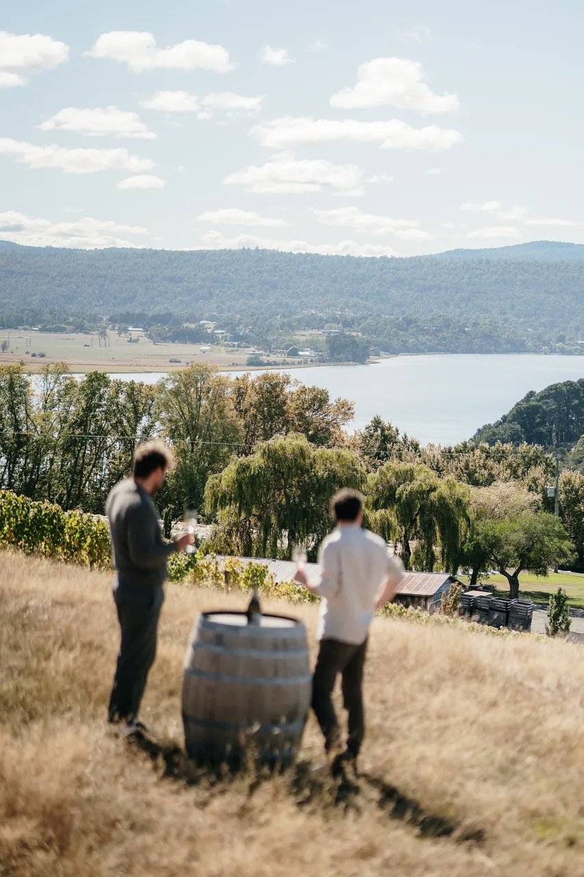 Wine Tasting at Evenfall Winery