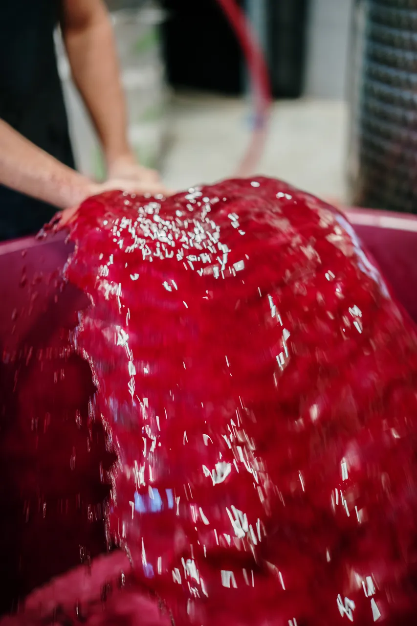 Transferring Wine at Utzinger
