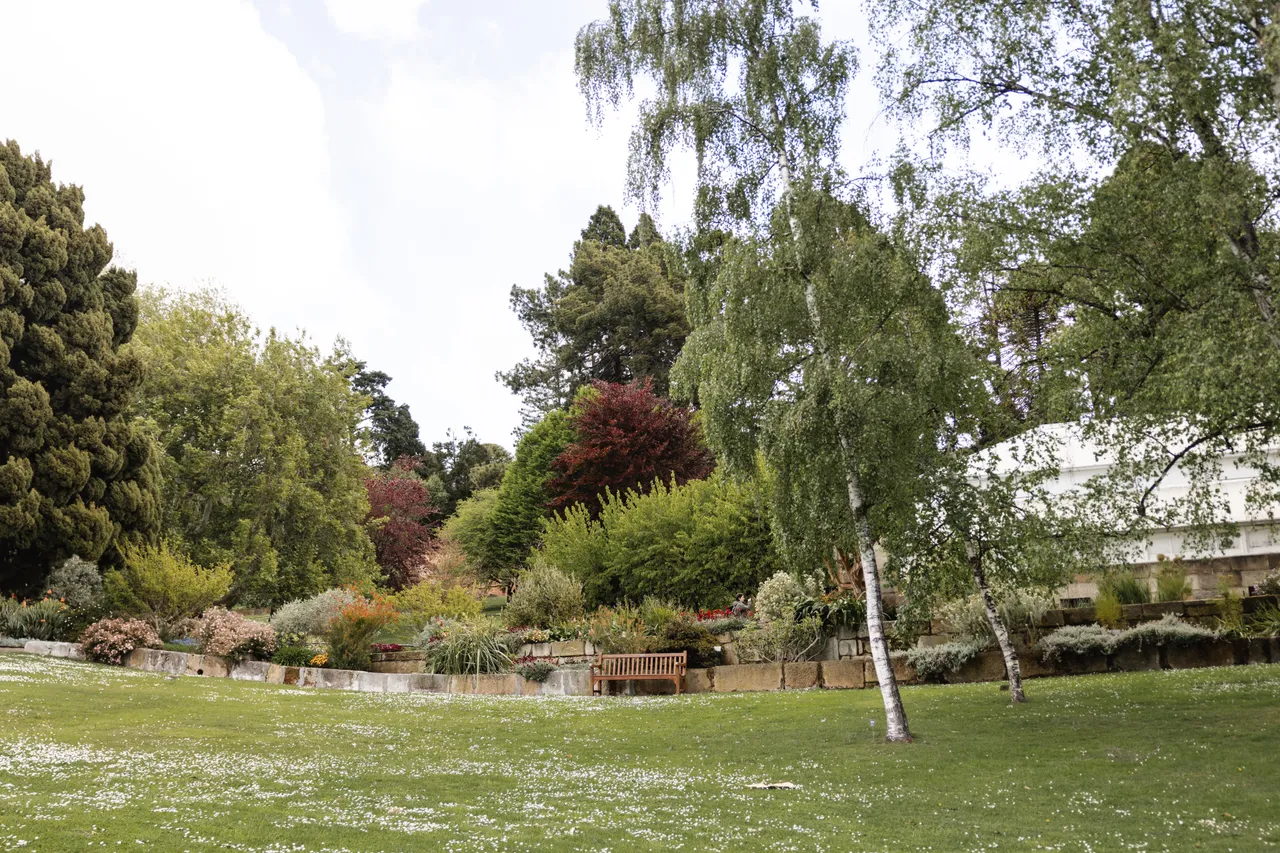 Royal Tasmanian Botanical Gardens