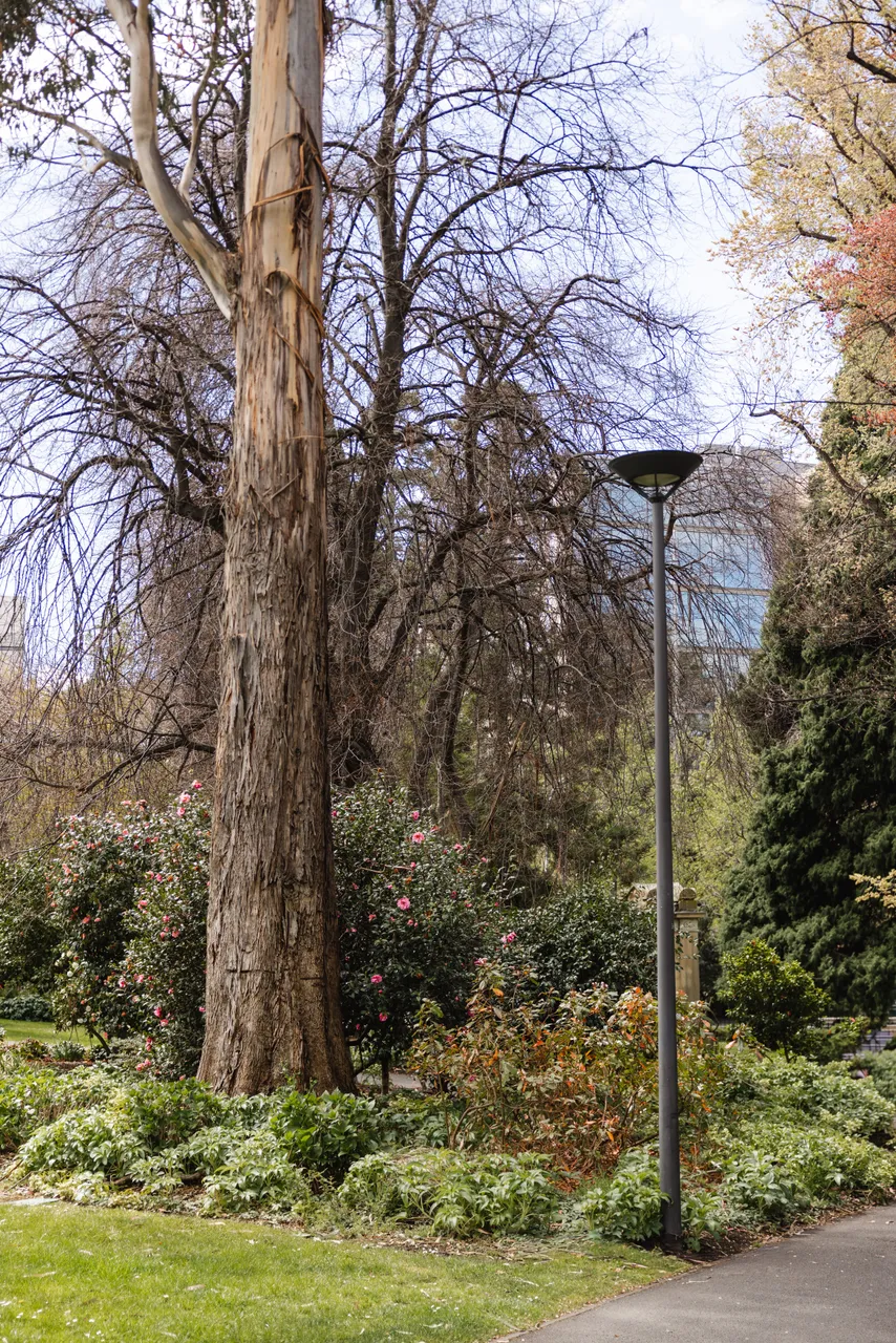 St David's Park in Spring