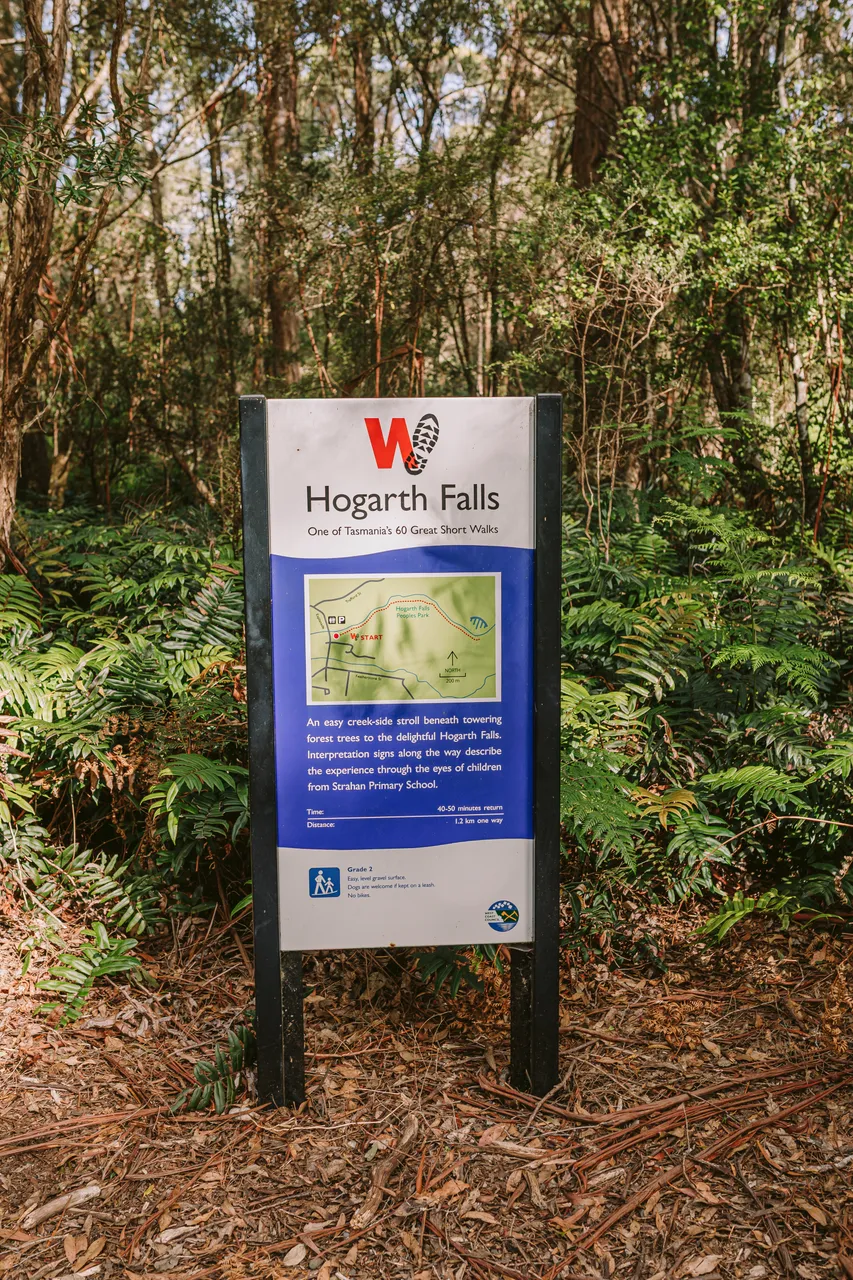 Hogarth Falls Track Signage