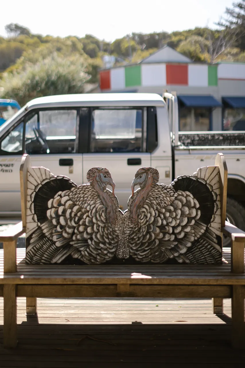 Currie Turkey Bench Seat