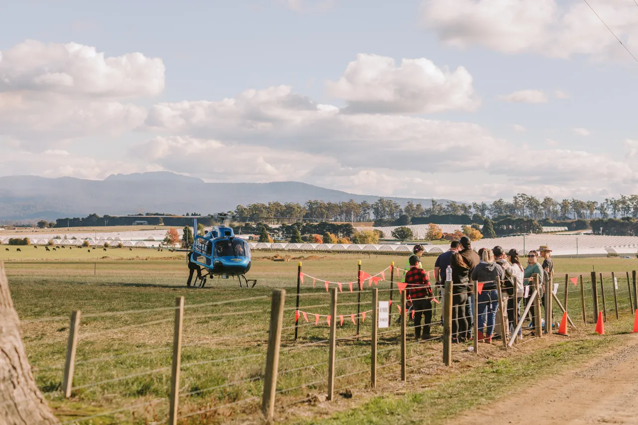 Helicopter at Agfest