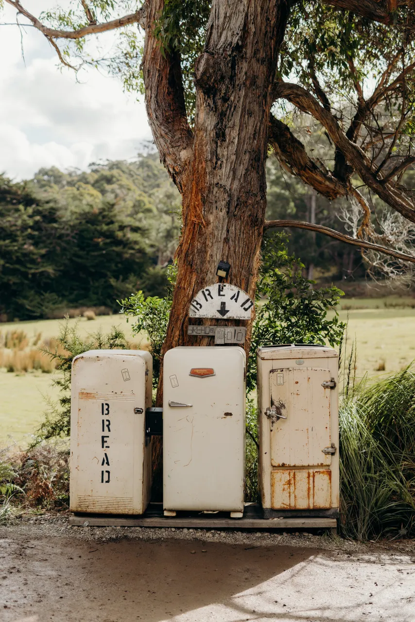 Bread Fridge Bruny Island