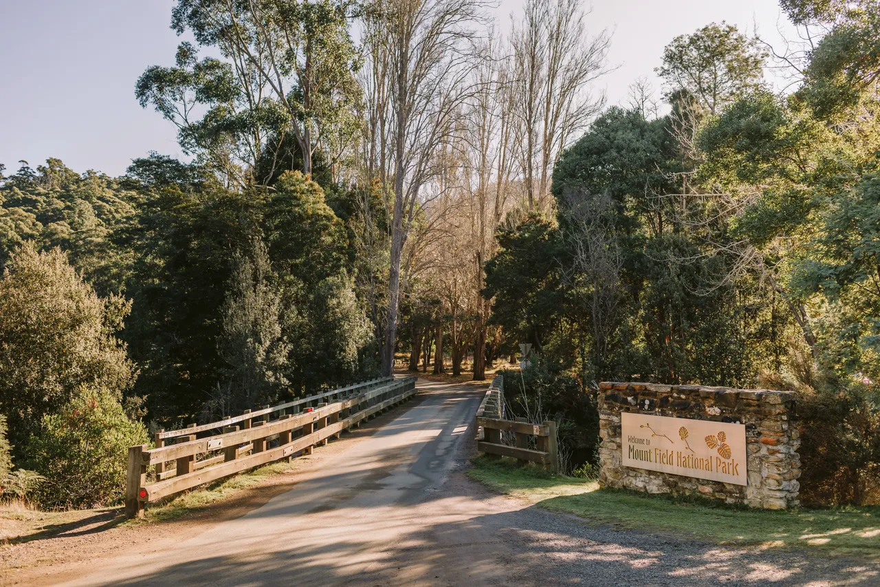 Mount Field Entrance