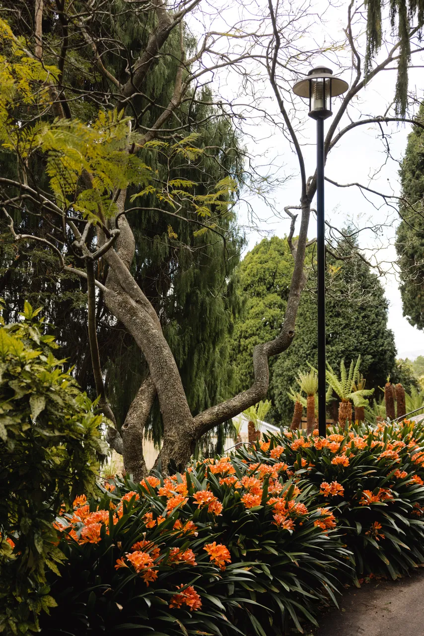 Royal Tasmanian Botanical Gardens