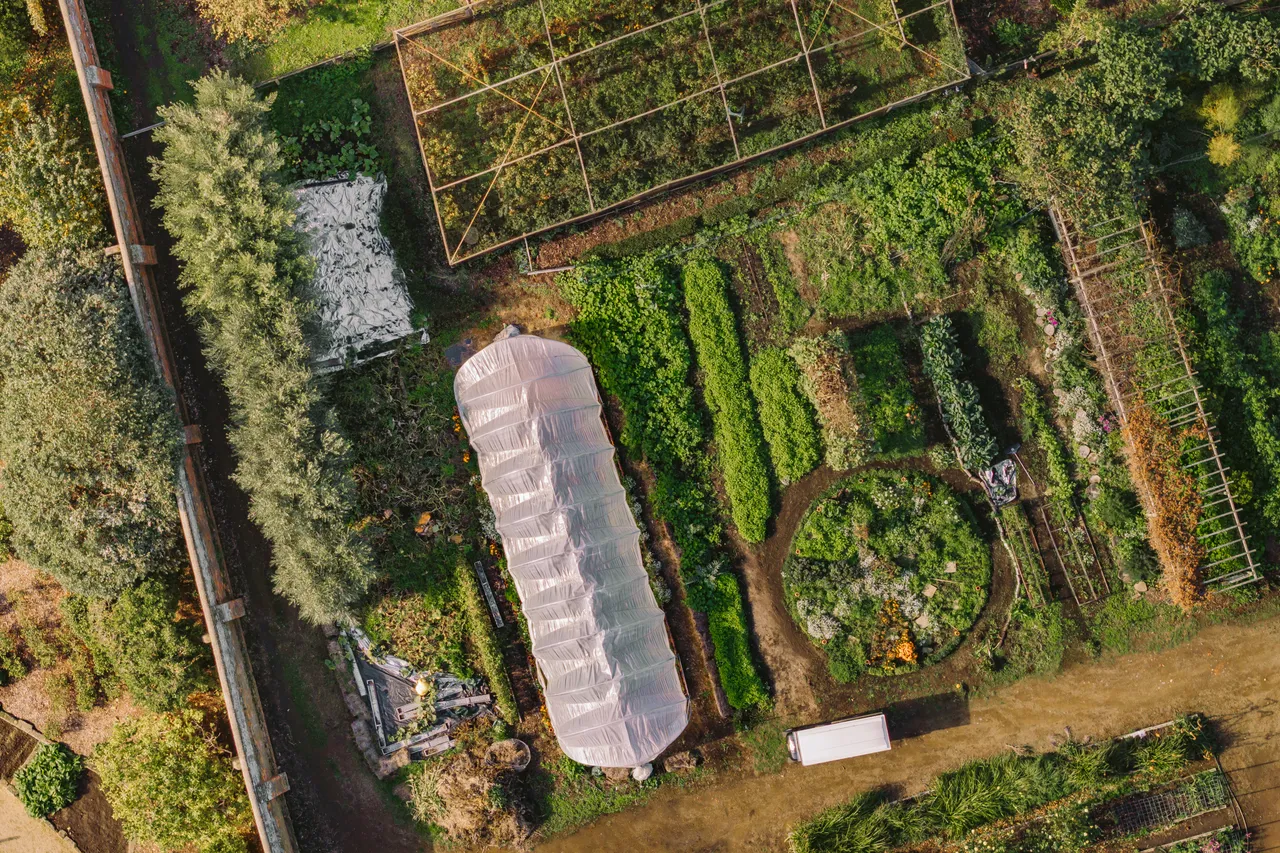 Aerial of the Royal Tasmanian Botanical Gardens