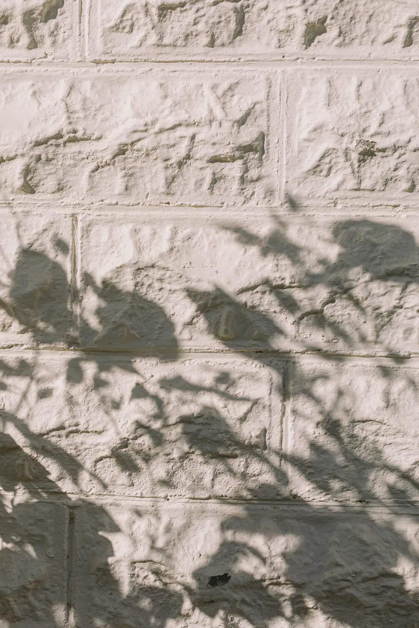 Leaf Shadows on Brick Wall