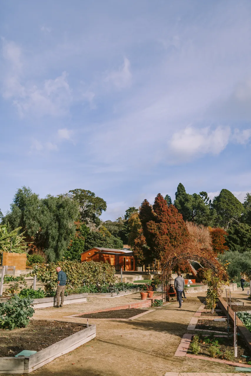 Royal Tasmanian Botanical Gardens